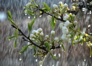Rayonlara yağış yağır, Ağsuçaydan sel keçir - Faktiki hava