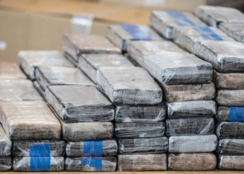 Kolumbiyada kokain istehsalı rekord səviyyəyə yüksəlib