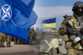 NATO müttəfiqləri Ukraynanın müdafiəsini gücləndirməyə davam edəcək