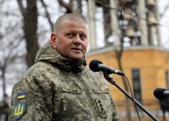 Zalujnı ABŞ-dan aldlğı 1 milyon mirası Ukrayna ordusuna sərf edib